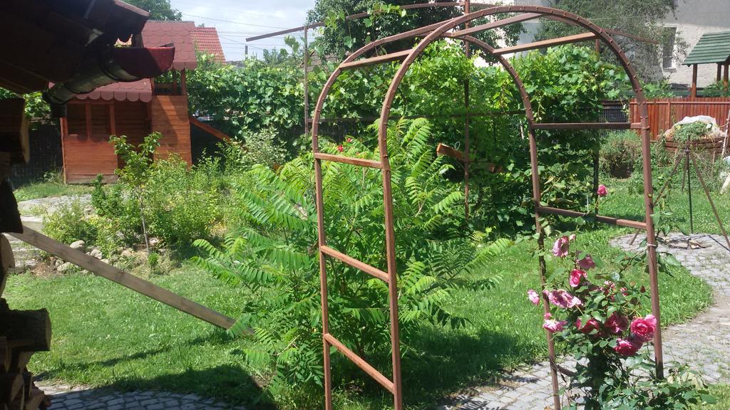 فندق Casa Dancs كوفزنا المظهر الخارجي الصورة